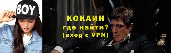 шишки Михайловка