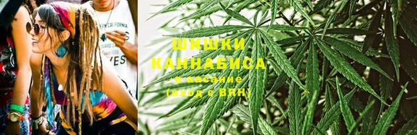 дурь Михайловск