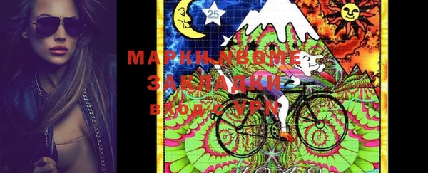 шишки Михайловка