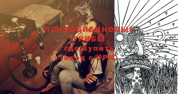 дмт Медногорск