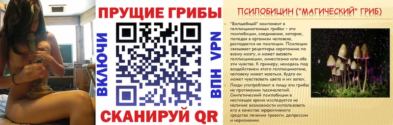 Псилоцибиновые грибы Psilocybine cubensis  Нижний Ломов 
